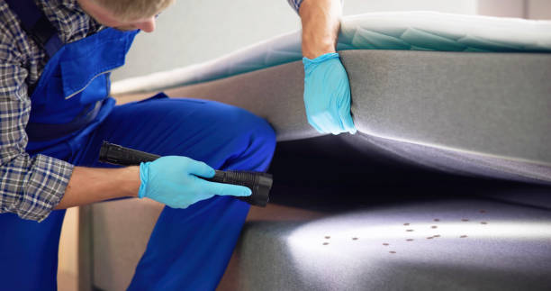 Best Rat Extermination Near Me  in Lexington, KY