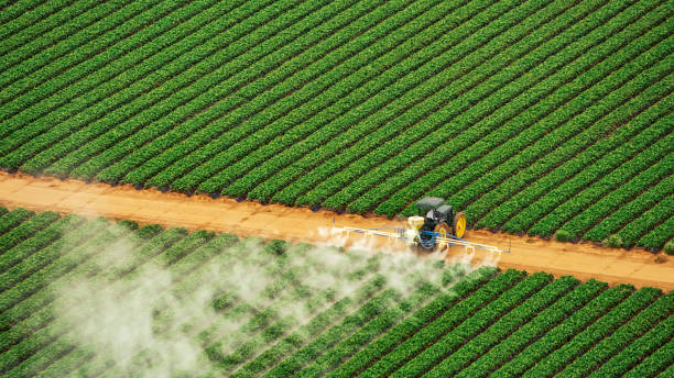 Best Mosquito Control Services  in Lexington, KY