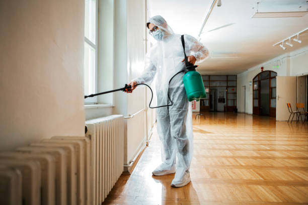 Best Flea Control Services  in Lexington, KY