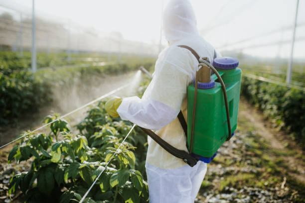 Best Pest Control Near Me  in Lexington, KY